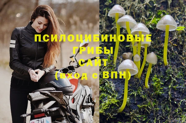 jwh Армянск