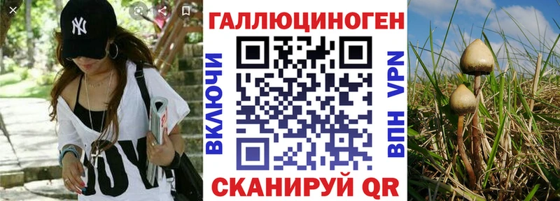 Псилоцибиновые грибы ЛСД  Орёл 